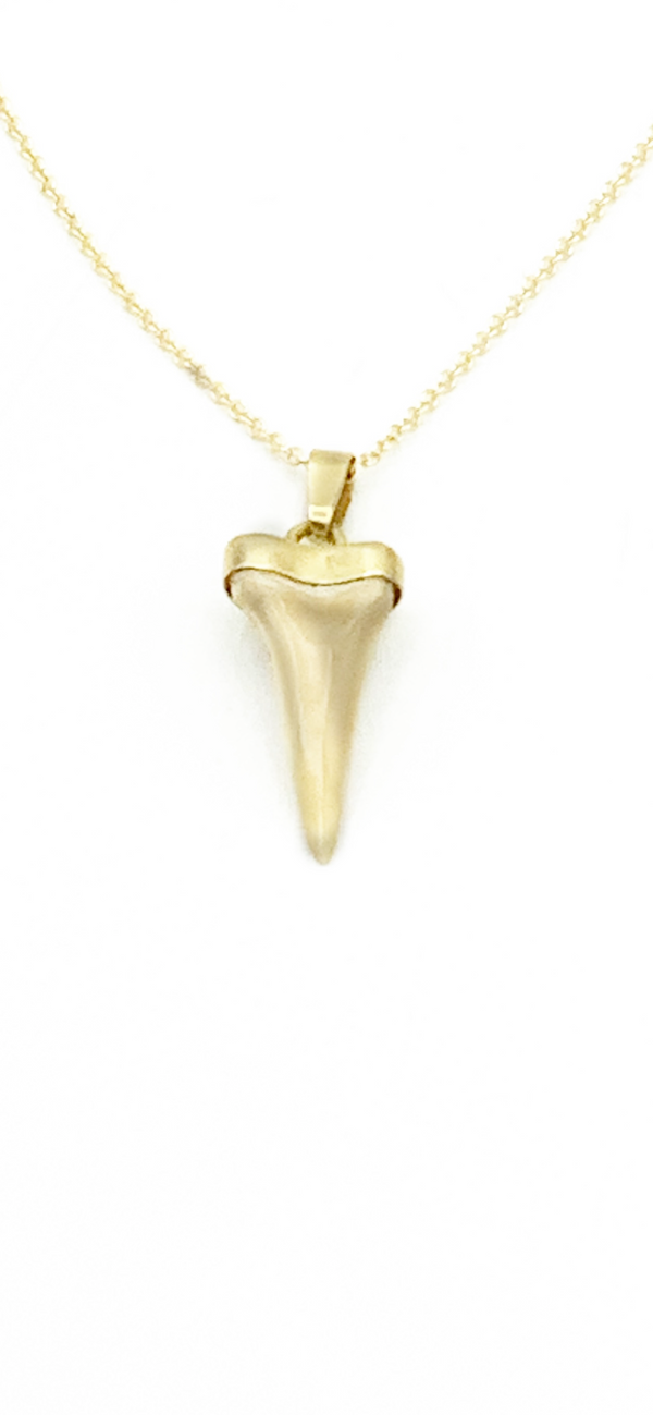 Authentic Shark Tooth Drop Pendant