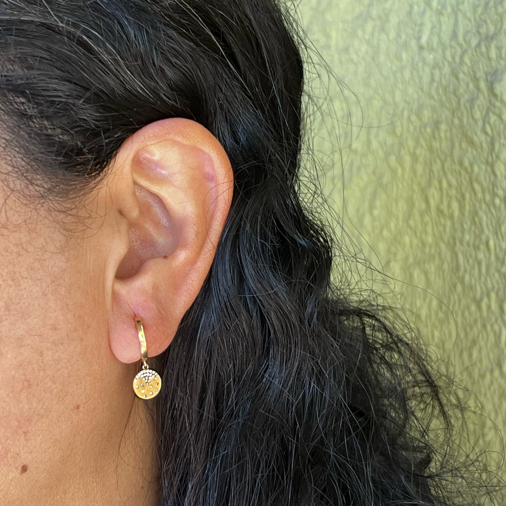 Scattered Diamond Disc on Hoop Earrings