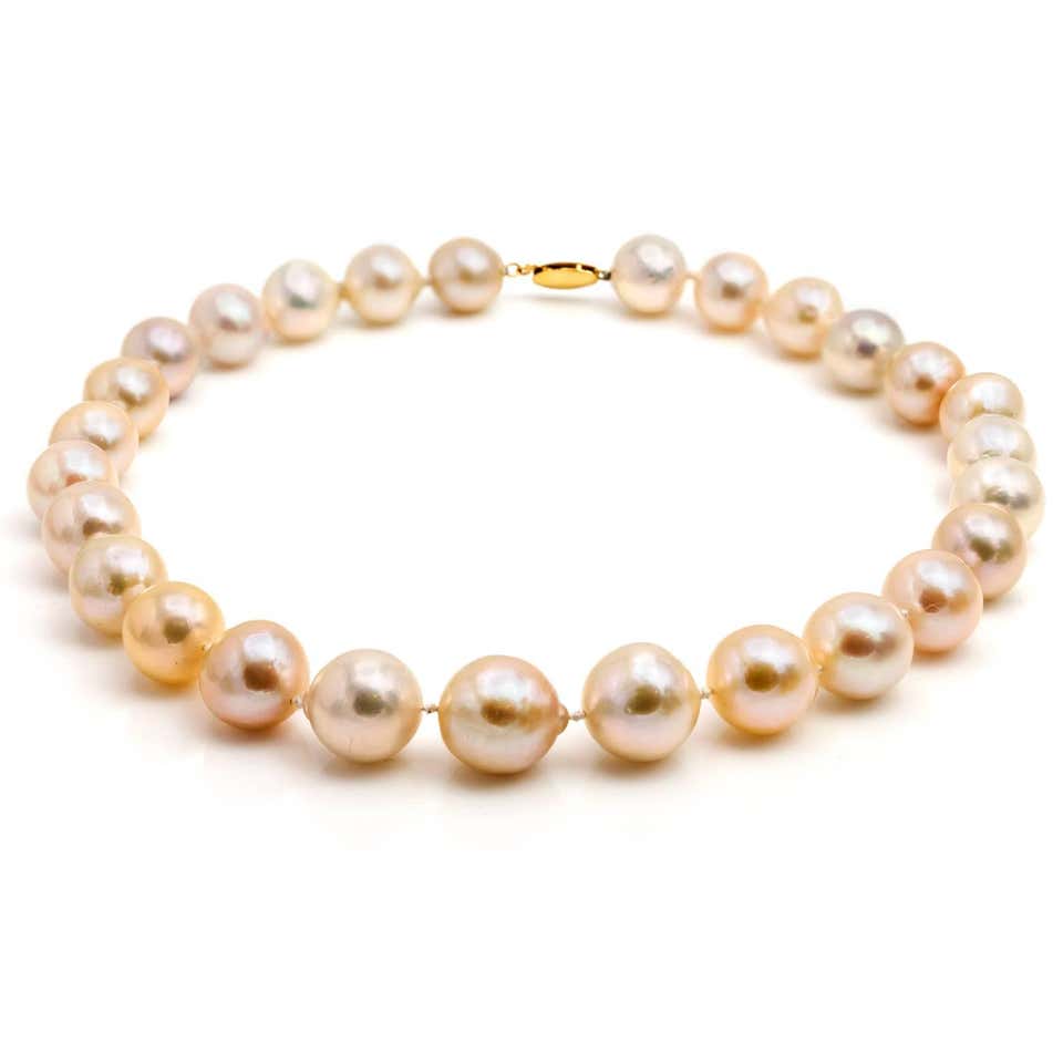 Large Fresh Water Pearl Necklace in Light Peachy Pink and Silver Hues Gold Clasp