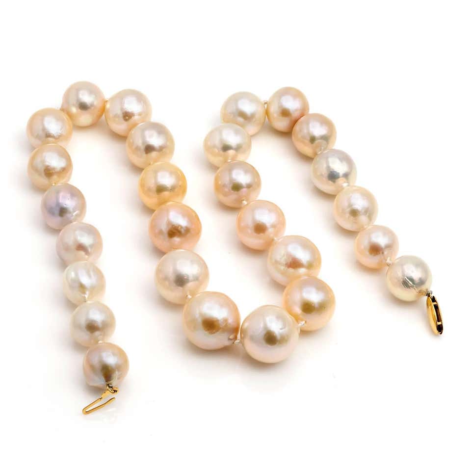 Large Fresh Water Pearl Necklace in Light Peachy Pink and Silver Hues Gold Clasp
