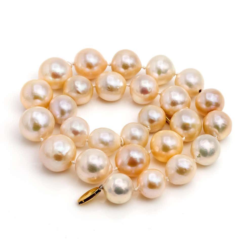 Large Fresh Water Pearl Necklace in Light Peachy Pink and Silver Hues Gold Clasp