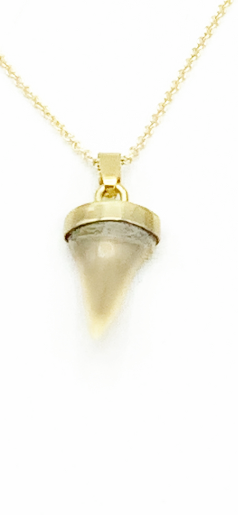 Authentic Shark Tooth Drop Pendant