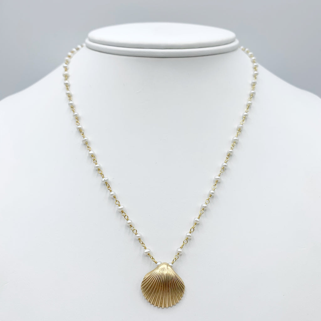Golden Calico Scallop Shell