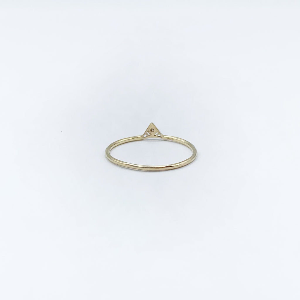 Diamond in a Triangle Castle