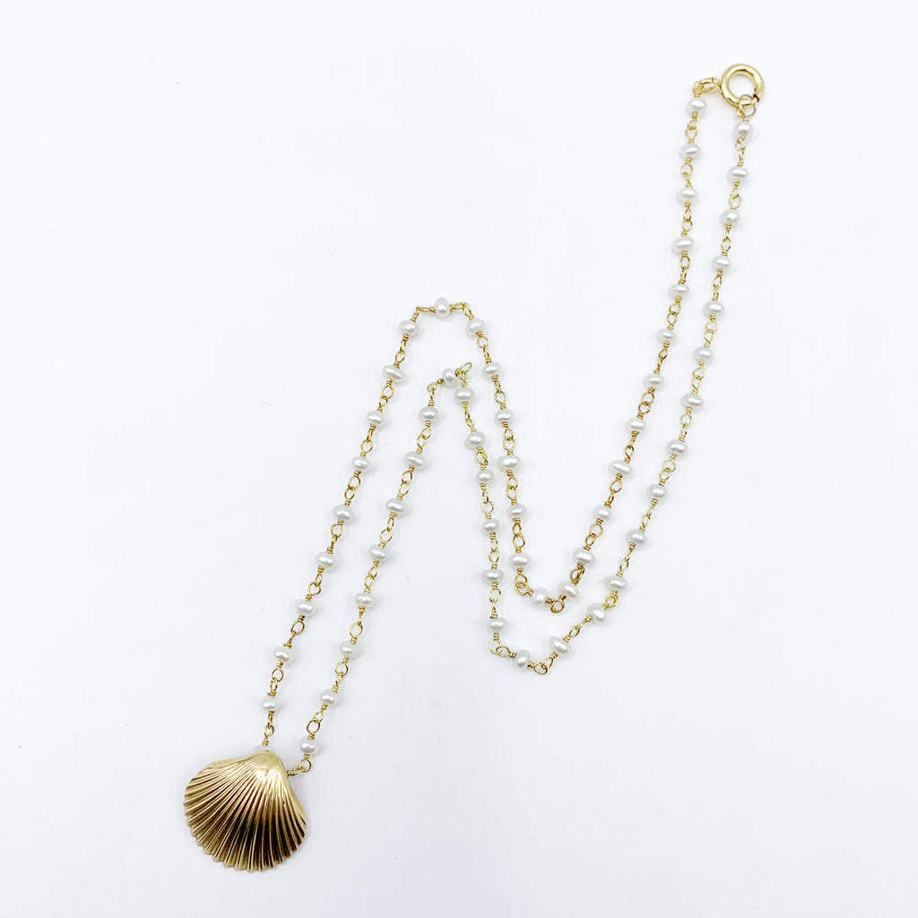 Golden Calico Scallop Shell